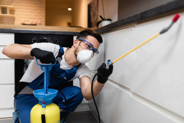 Best Wasp Removal Services  in Aberdeen Proving Ground, MD