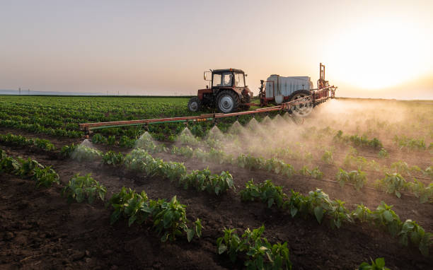 Reliable Aberdeen Proving Ground, MD Pest Control Solutions
