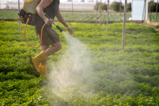 Wasp Removal Services in Aberdeen Proving Ground, MD