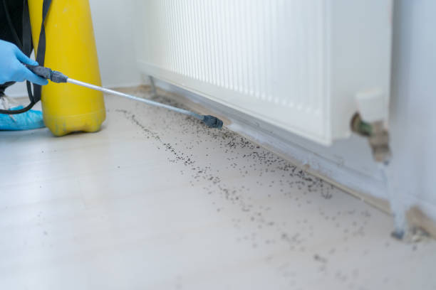Best Pest Control Near Me in Aberdeen Proving Ground, MD