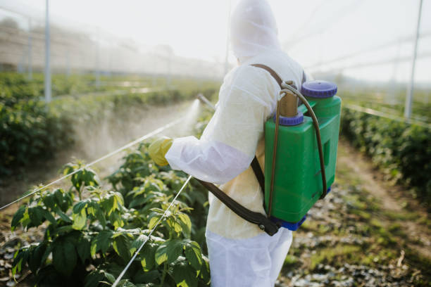 Best Local Pest Control Services  in Aberdeen Proving Ground, MD